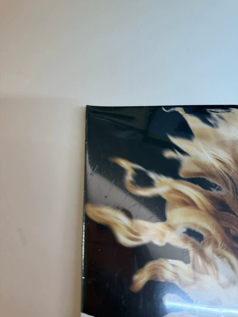 Taylor Swift - Fearless Original Edition 2LP Vinyl - image 4