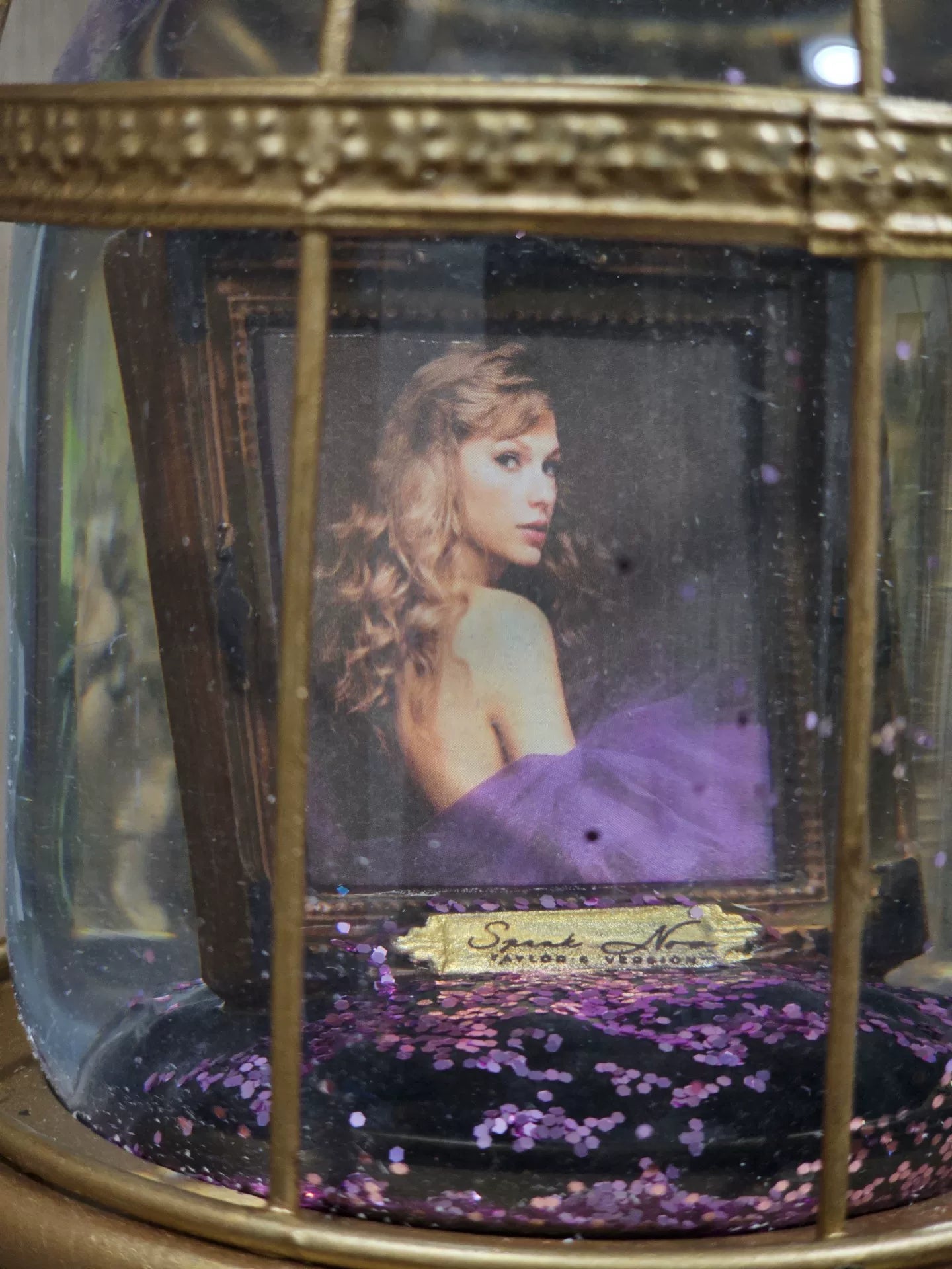 Taylor Swift – Speak Now Snow Globe Music Box — detail 2