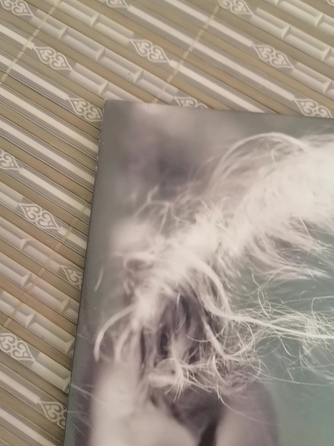 Taylor Swift – Folklore Stolen Lullabies Edition Vinyl