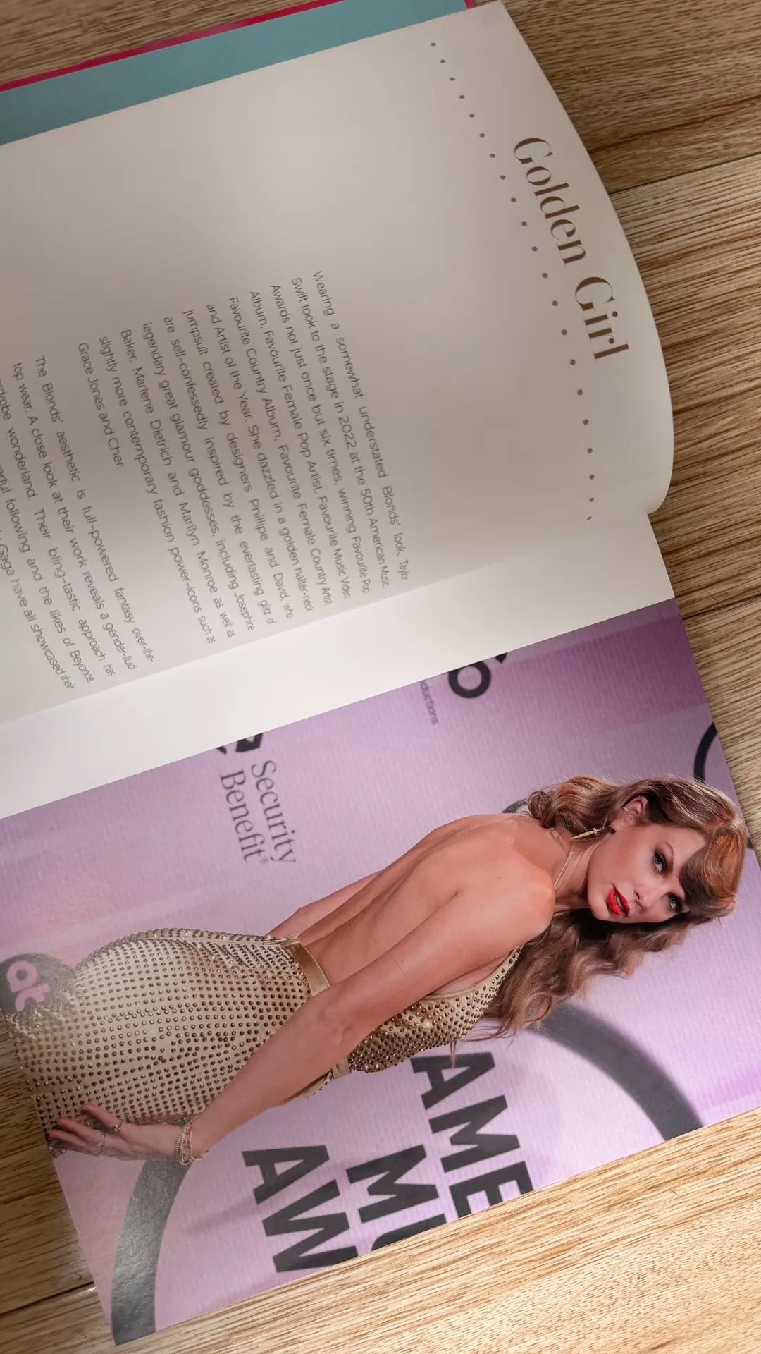 Taylor Swift and the Clothes She Wears – Terry Newman Hardcover – photo 9