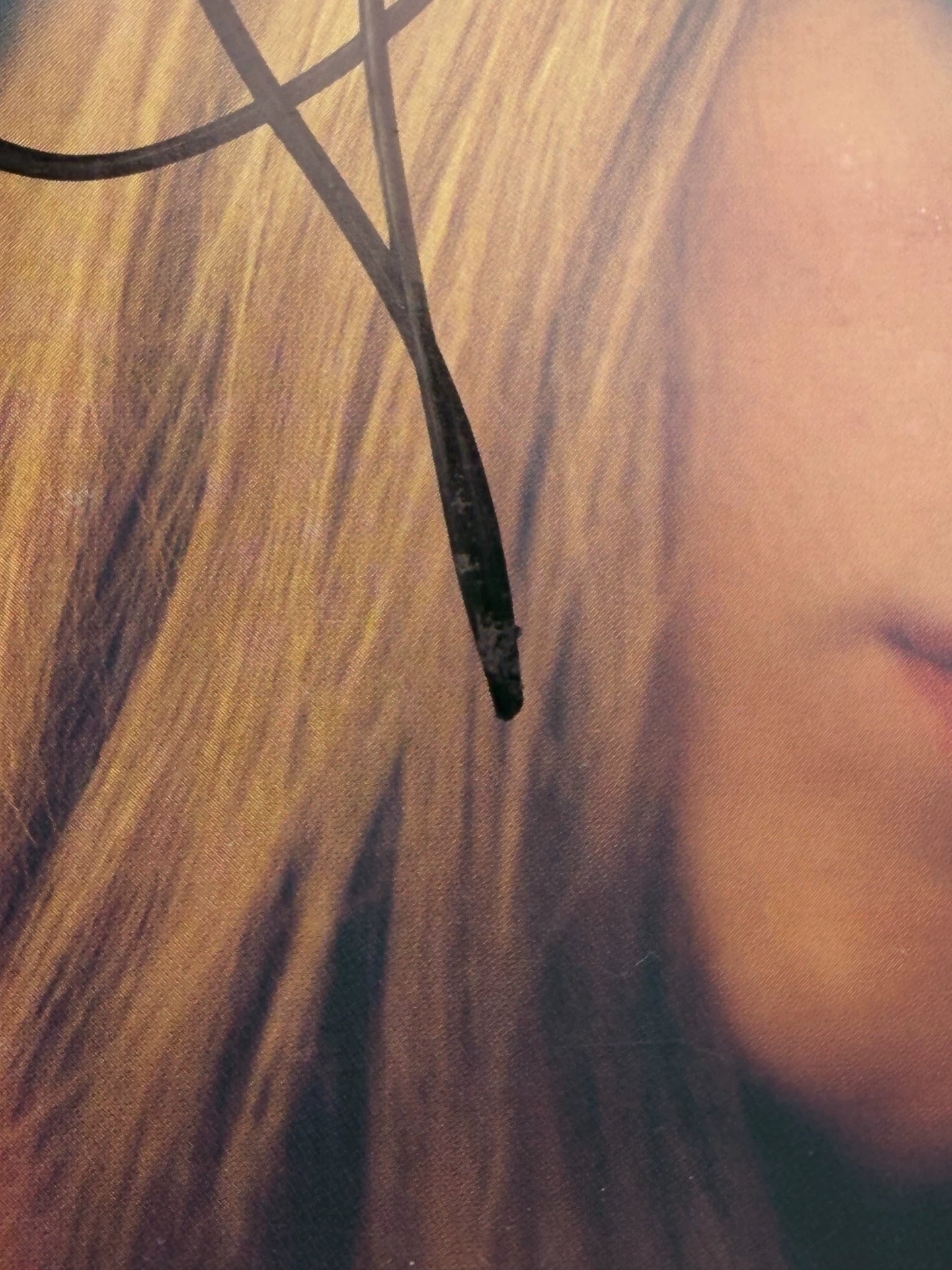 Taylor Swift – Midnights Mahogany Signed CD — product detail 5