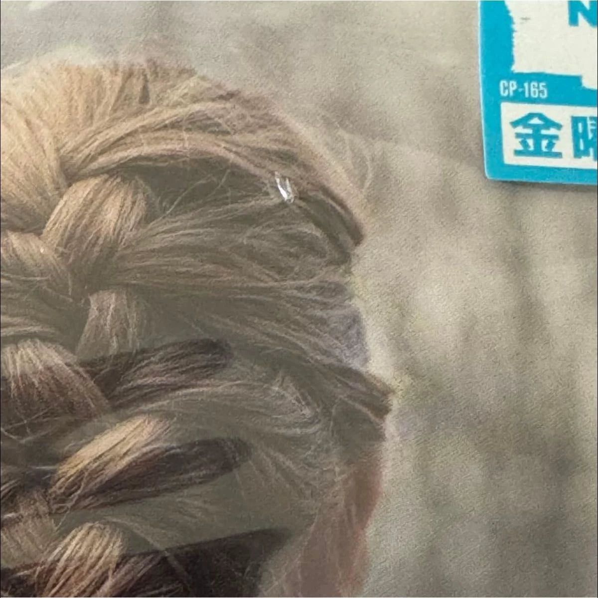 Taylor Swift – Evermore – Japanese First-Press CD, Damaged Wrapping & Case – actual item photograph 5