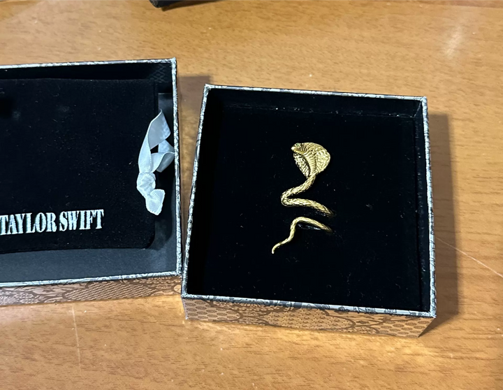 Taylor Swift – Reputation – Snake Ear Cuff