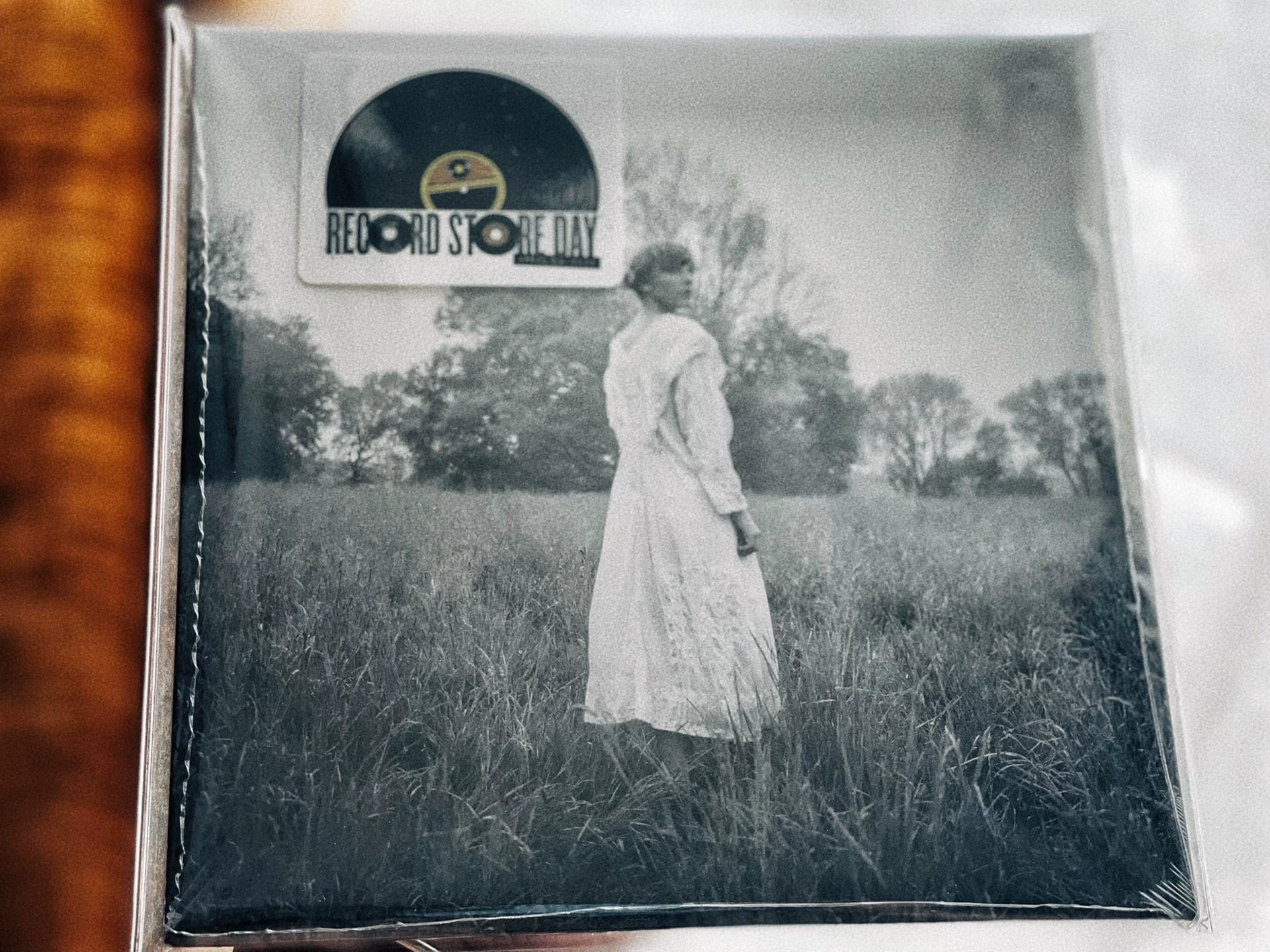 Taylor Swift – The Lakes – URVC
