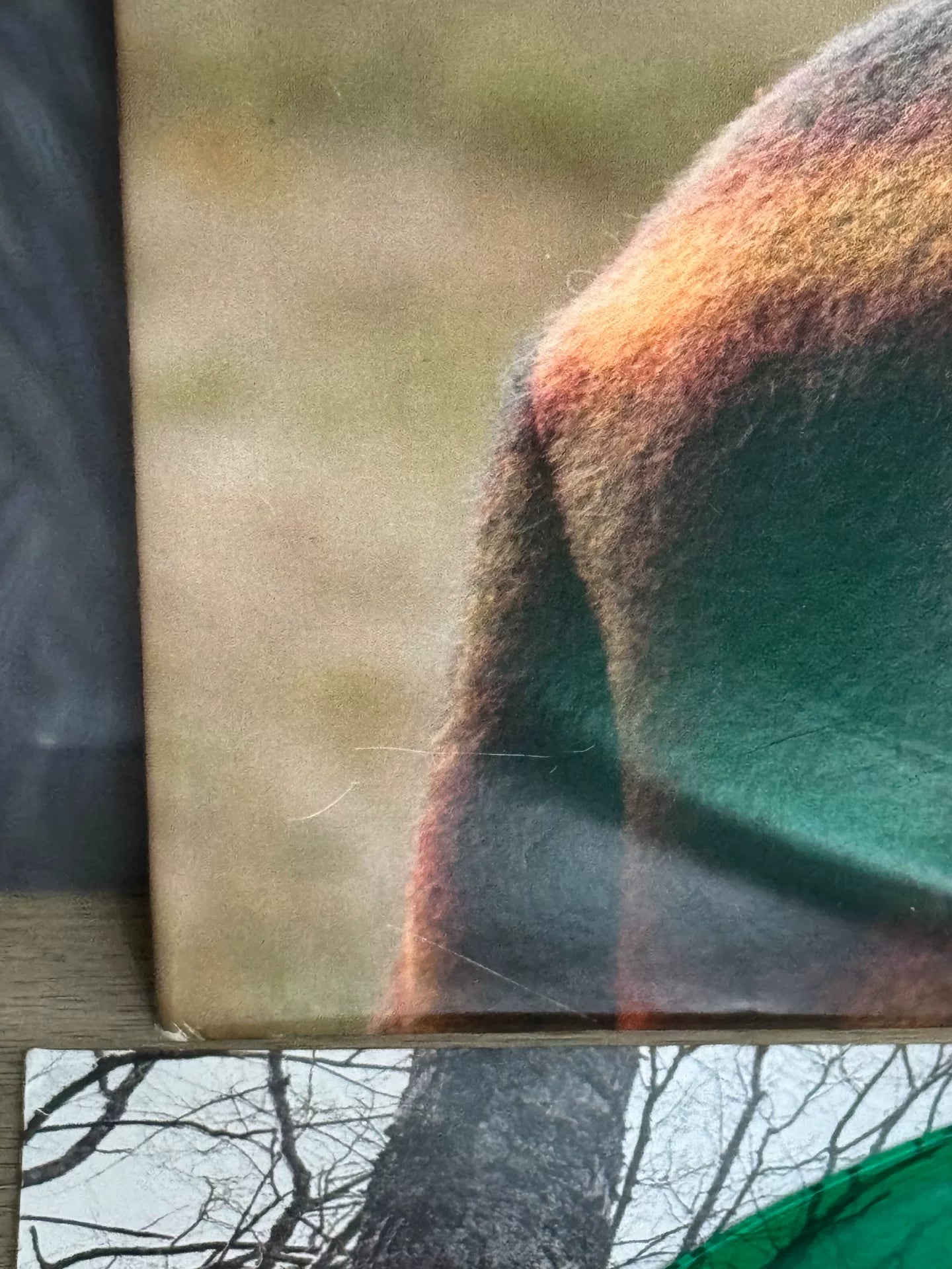Taylor Swift – evermore New Translucent Green Vinyl 2LP