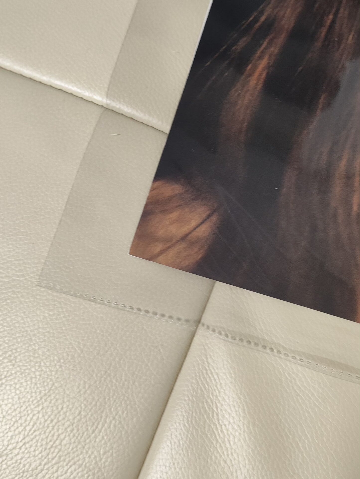 Taylor Swift – Midnights Signed Jade Green Insert