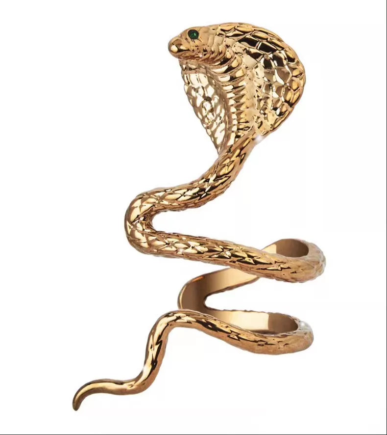 Taylor Swift – Reputation – Snake Ear Cuff – photo 1
