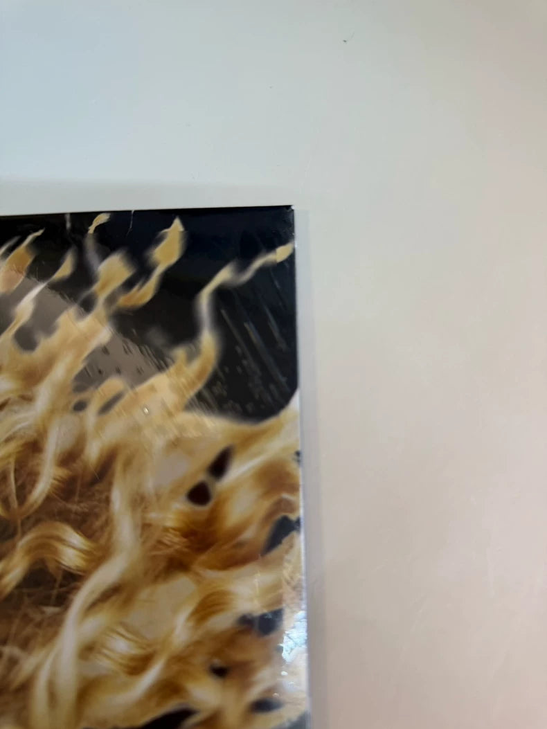 Taylor Swift - Fearless Original Edition 2LP Vinyl - image 5