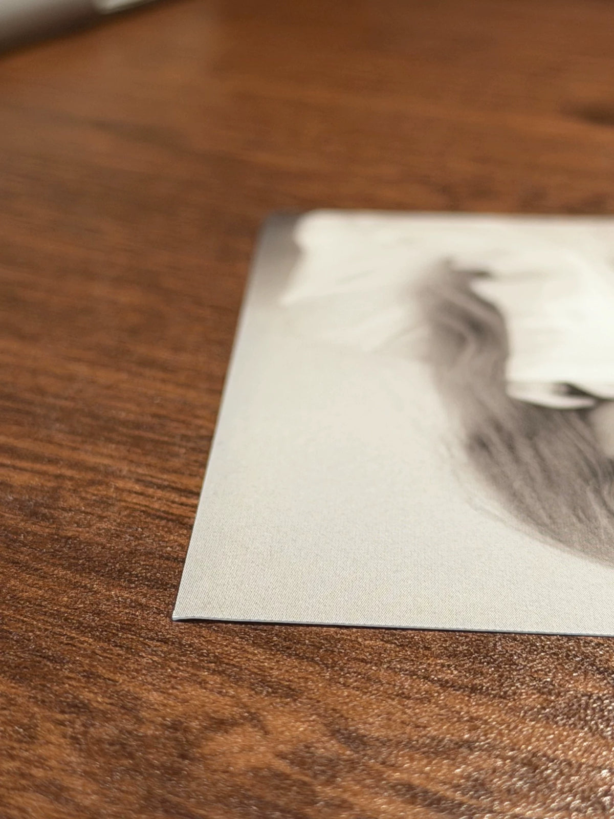 Taylor Swift – The Tortured Poets Department – Signed Hard Card & CD – actual item photograph 3