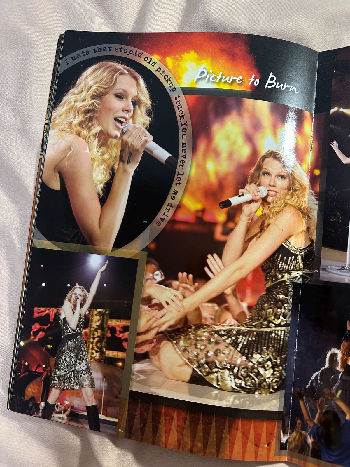 Taylor Swift – Fearless Tour 2009/2010 Programme – photo 4
