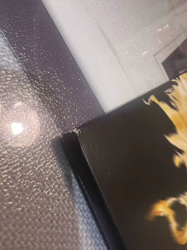Taylor Swift Fearless RSD Europe Transparent Gold Vinyl 2LP – Opened