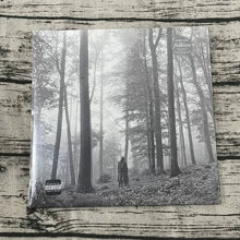 Taylor Swift – Folklore – In the Trees, Translucent Vinyl (2LP)