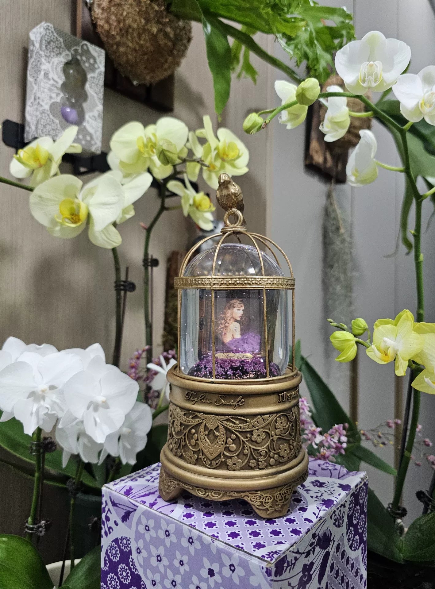 Taylor Swift – Speak Now Snow Globe Music Box — main view