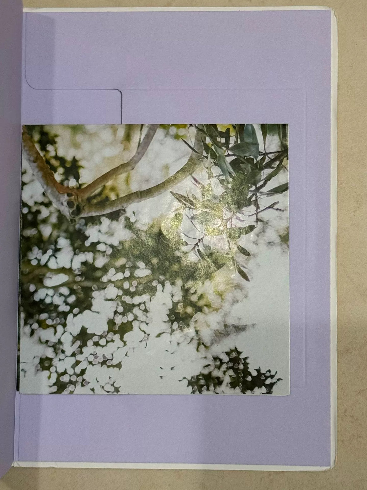 Taylor Swift – Lover – Deluxe Album Version 2 CD and Journal – actual item photograph 3