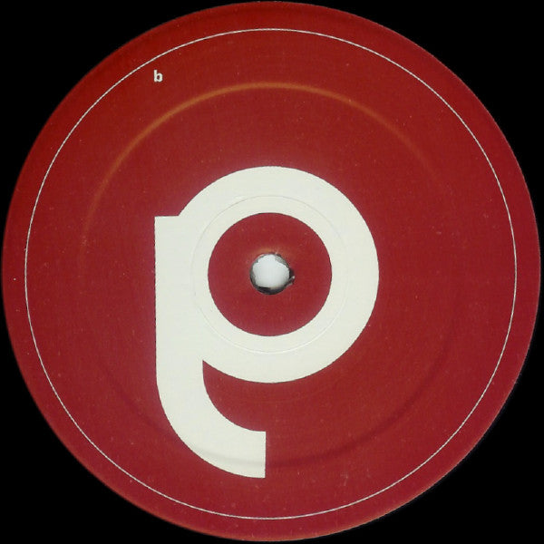 Amp (2) : The Future Is Ours (2x12")