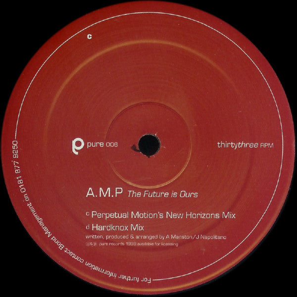 Amp (2) : The Future Is Ours (2x12")