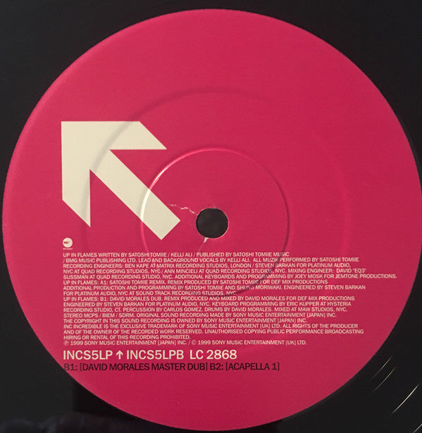 Satoshi Tomiie : Up In Flames (Part 1) (12", Single)