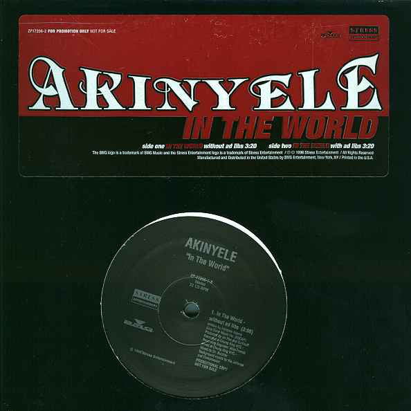 Akinyele : In The World (12", Promo)
