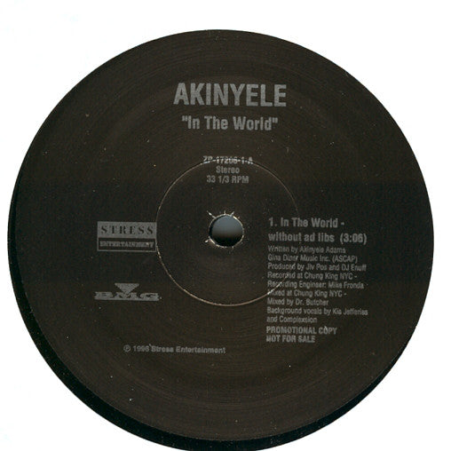 Akinyele : In The World (12", Promo)