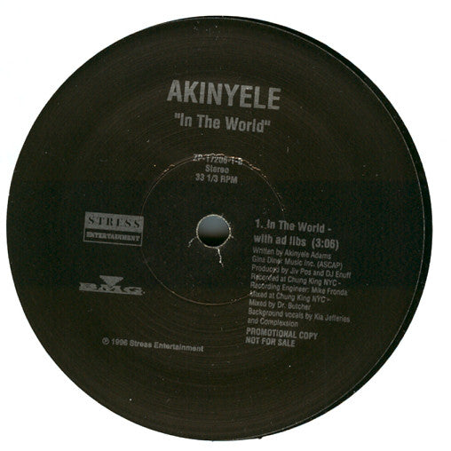 Akinyele : In The World (12", Promo)