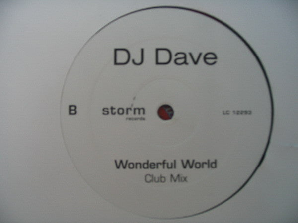 DJ Dave (2) : Wonderful World (12")