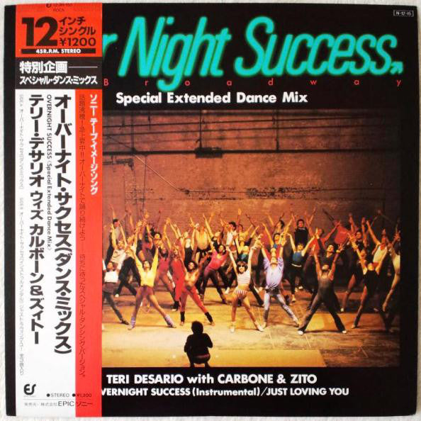 Teri Desario With Joey Carbone & Richie Zito : Overnight Success (12", Maxi)