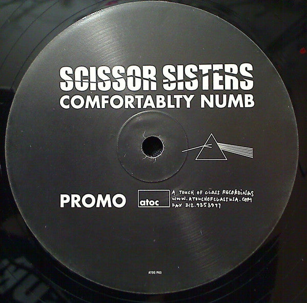 Scissor Sisters : Comfortably Numb (12", S/Sided, Promo)