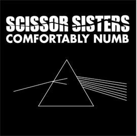 Scissor Sisters : Comfortably Numb (12", S/Sided, Promo)