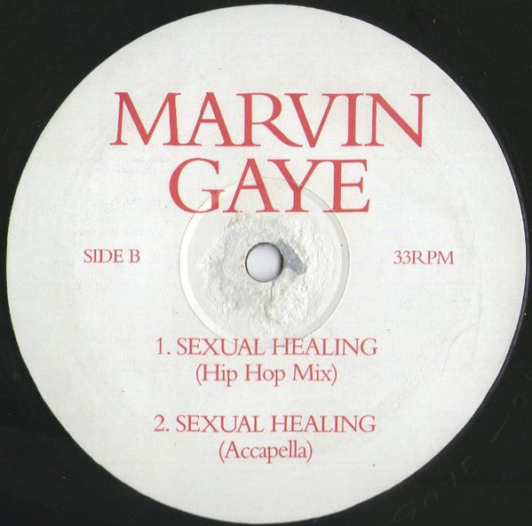 Marvin Gaye : What's Going On 2003 (12", Promo)