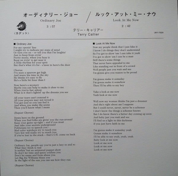 テリー・キャリアー* = Terry Callier : オーディナリー・ジョー = Ordinary Joe (7", Single)