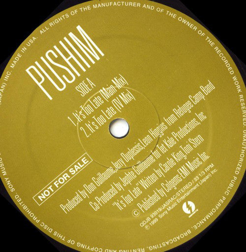 Pushim : It's Too Late (12", Maxi, Promo)