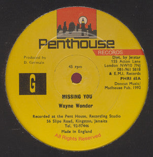 Wayne Wonder : Missing You (12")