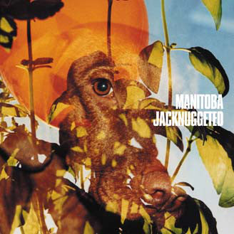 Manitoba : Jacknuggeted (12")