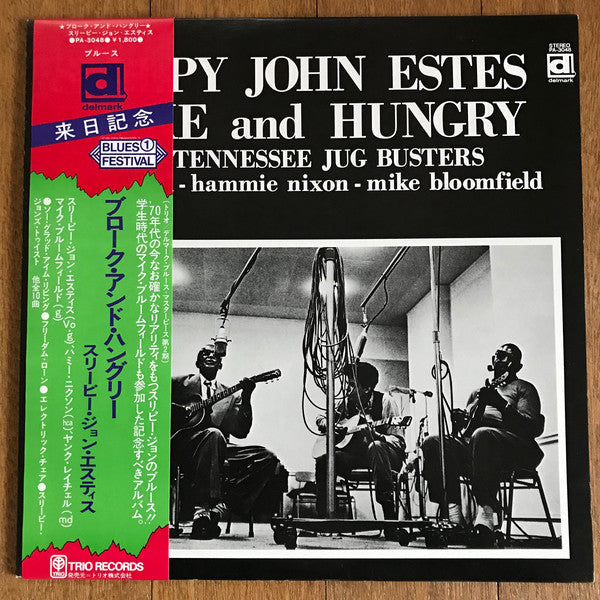 Sleepy John Estes : Broke And Hungry (LP, Album)