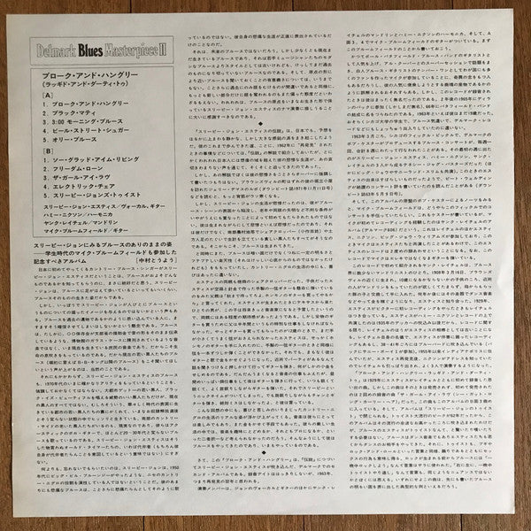 Sleepy John Estes : Broke And Hungry (LP, Album)