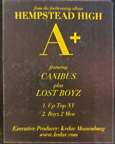 A+ : Up Top NY / Boyz 2 Men (12")