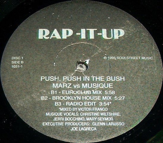 Marz (4) Vs Musique : Push, Push In The Bush (2x12", Maxi)