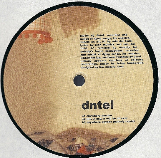 Dntel : Anywhere Anyone (12", EP)