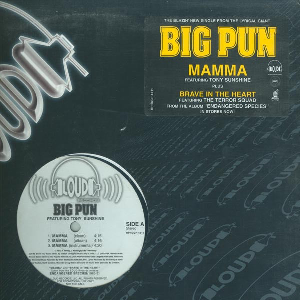 Big Punisher : Mamma / Brave In The Heart (12", Single, Promo)