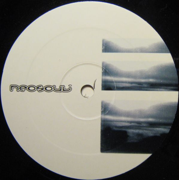 Neosoul : For The Chosen Few (12")
