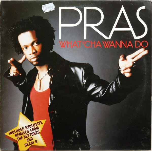 Pras Michel : What'cha Wanna Do (12", Promo)