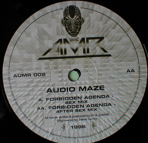 Audio Maze : Forbidden Agenda (12")