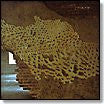 While : Even (2xLP, Album)