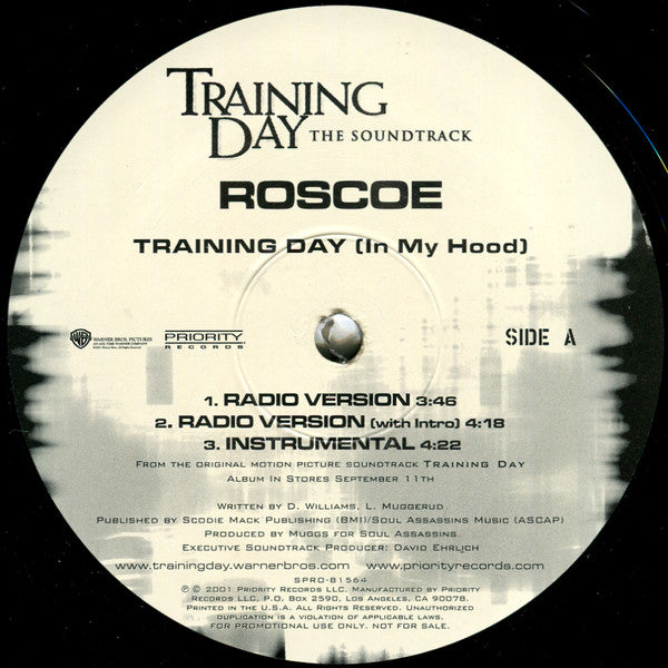 Roscoe : Training Day (In My Hood) (12", Single, Promo)
