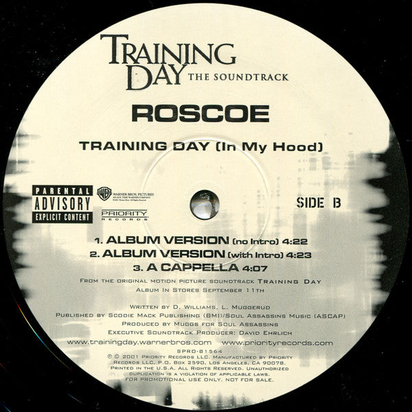 Roscoe : Training Day (In My Hood) (12", Single, Promo)