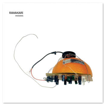 Rawakari : Ikebana (12")