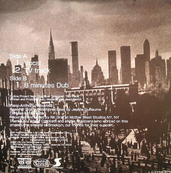 D'Jima Project Feat. Diva Blue : Unknown This Place (12")