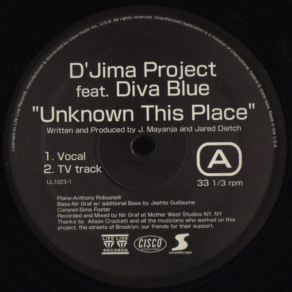 D'Jima Project Feat. Diva Blue : Unknown This Place (12")