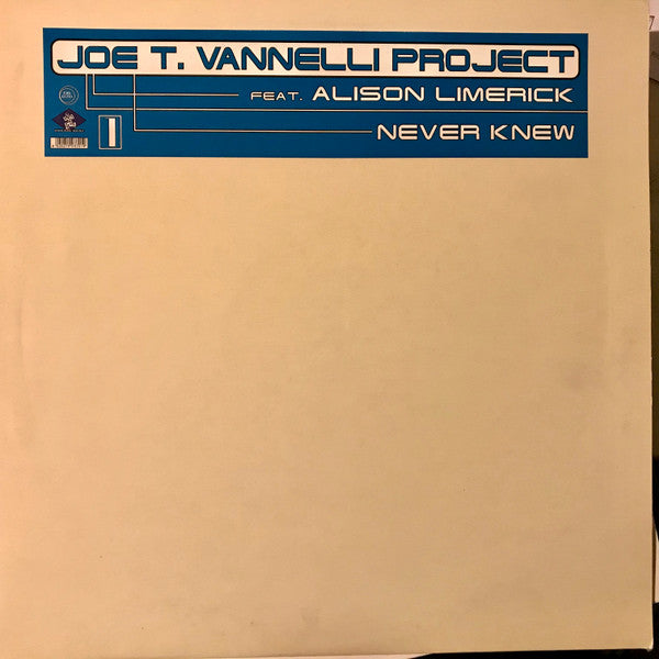 Joe T. Vannelli Project Feat. Alison Limerick : Never Knew (12")