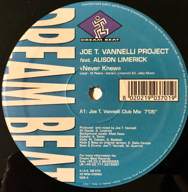 Joe T. Vannelli Project Feat. Alison Limerick : Never Knew (12")